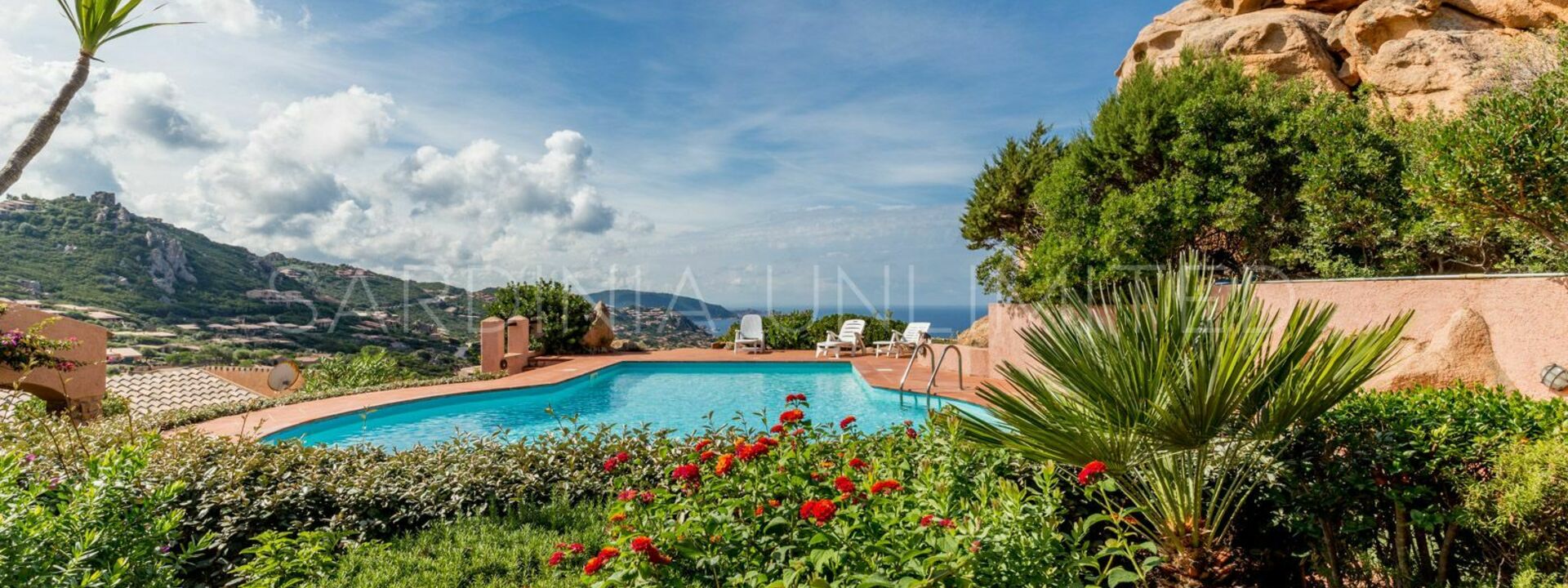 Corbezzolo Giallo: Взгляды