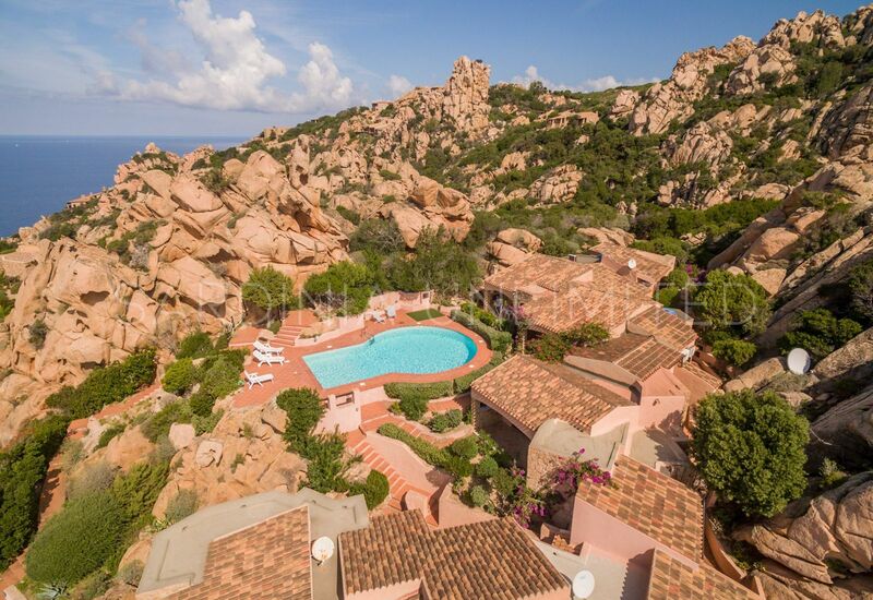 Corbezzolo Giallo: Взгляды