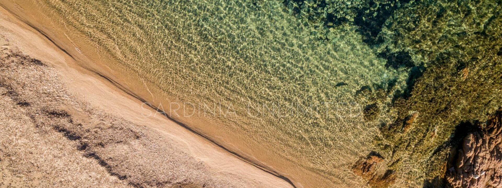 Stella Marina: Attività