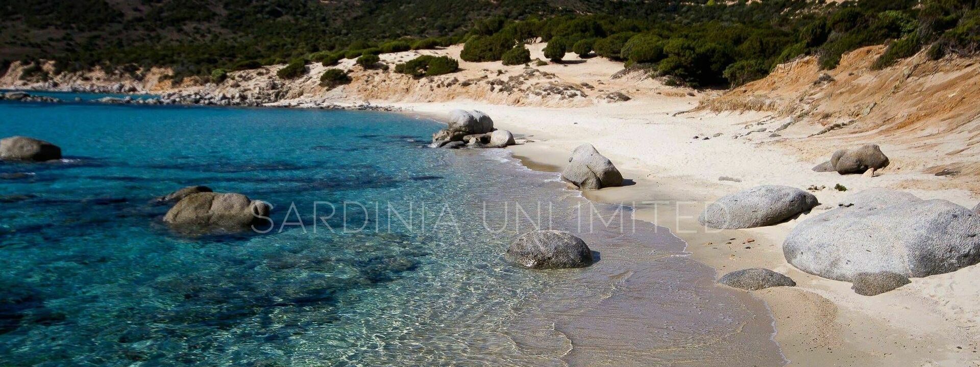 Stella Marina: Attività