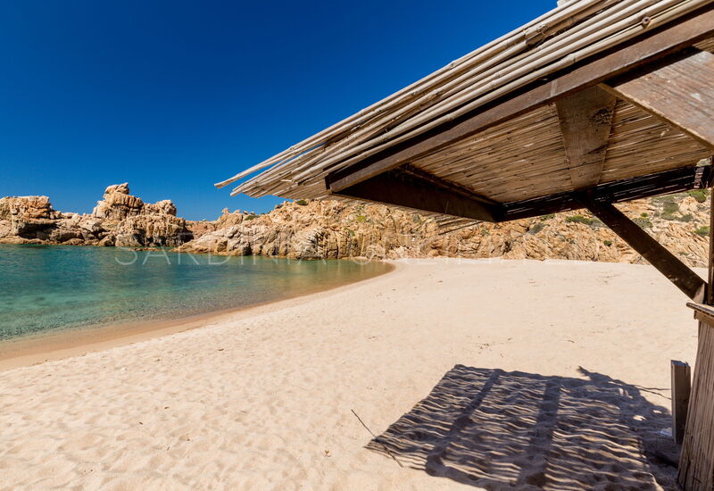 Stella Marina: Activities