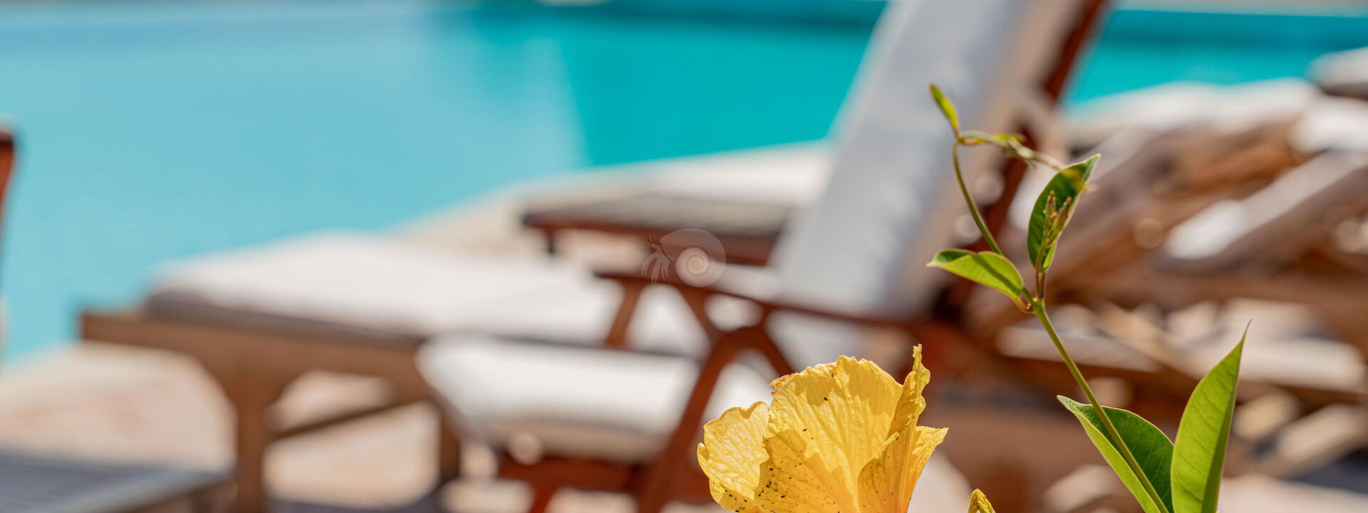 Villa Sogno Indaco: Außen, Ausstattung