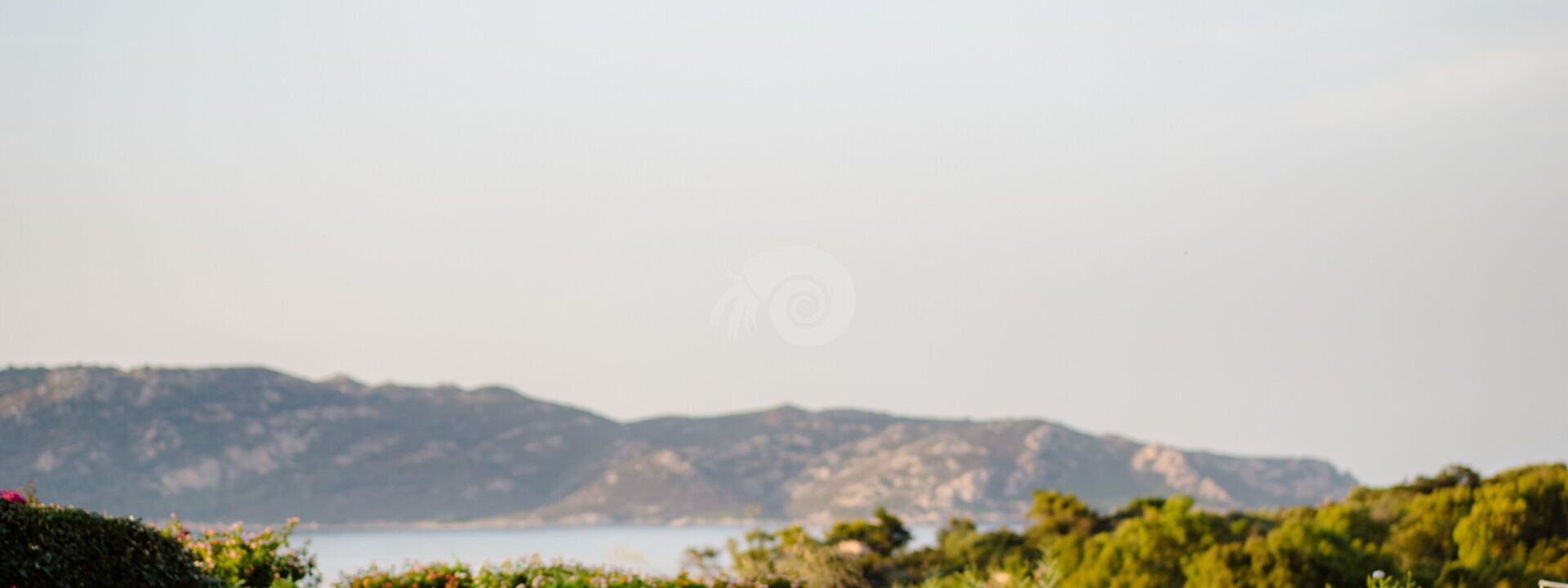 Villa Salinedda: Pool