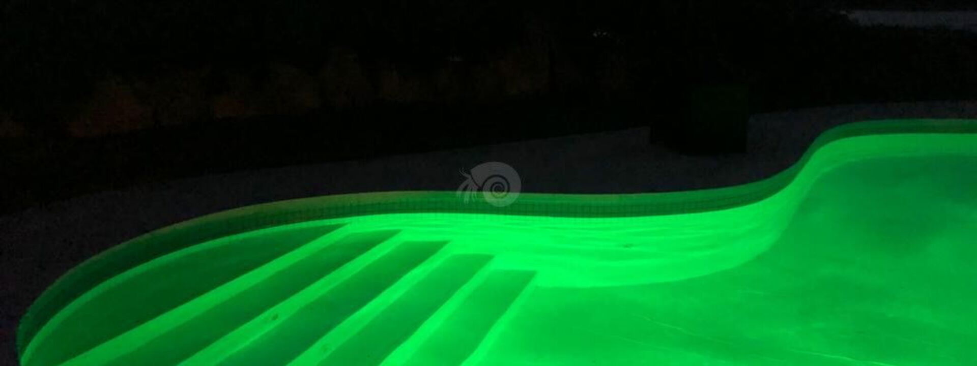 Villa Salinedda: Pool