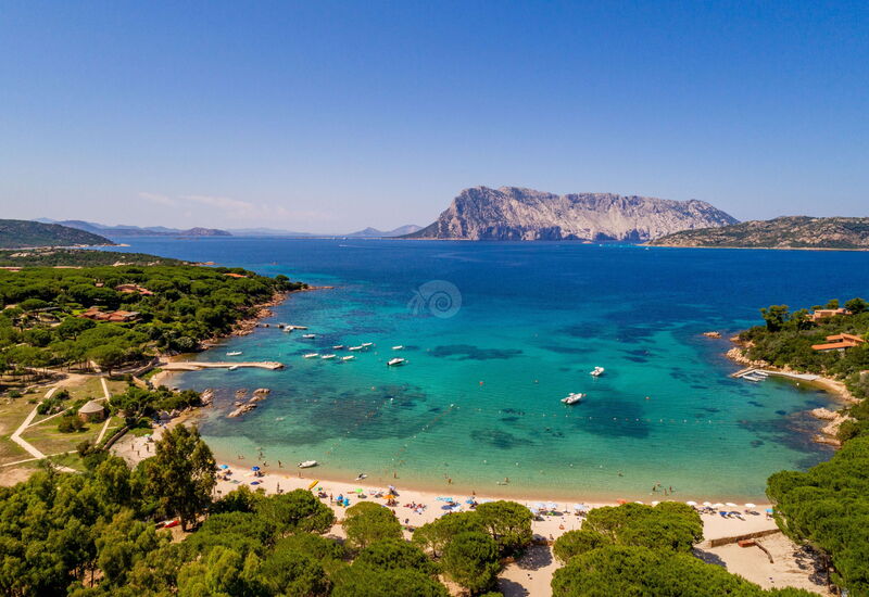 Villa Salinedda: Summer