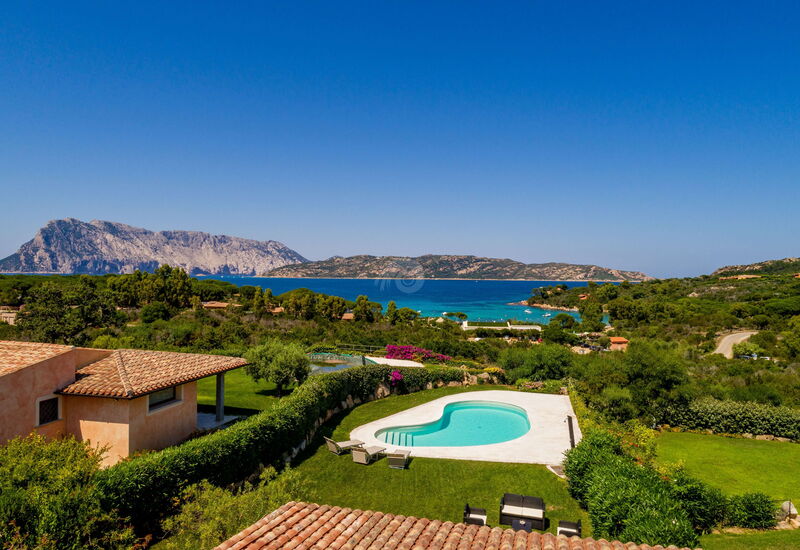 Villa Salinedda: Pool