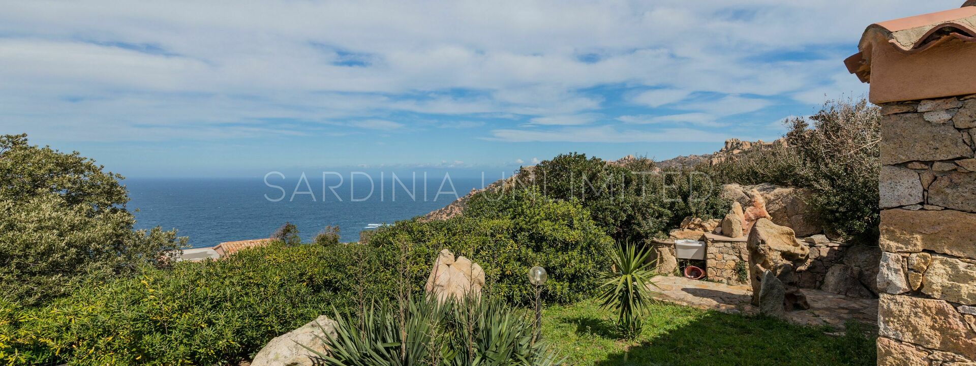 Villa Arielle: Garden