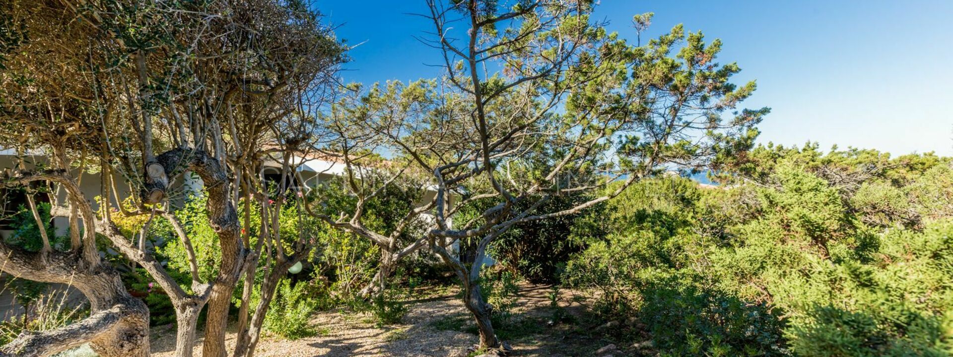 Villa Sassifraga: Extérieur, Extérieurs