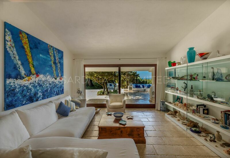 Villa Sassifraga: Salon