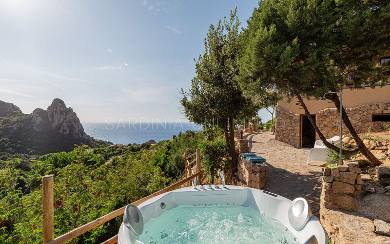 Villa Assenzia Plant