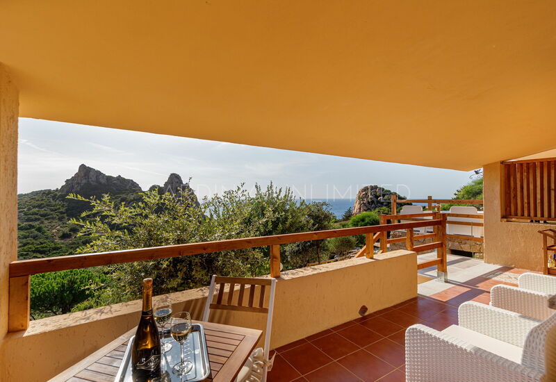 Villa Assenzia Plant: Außen, Balkon / Terrasse / Patio