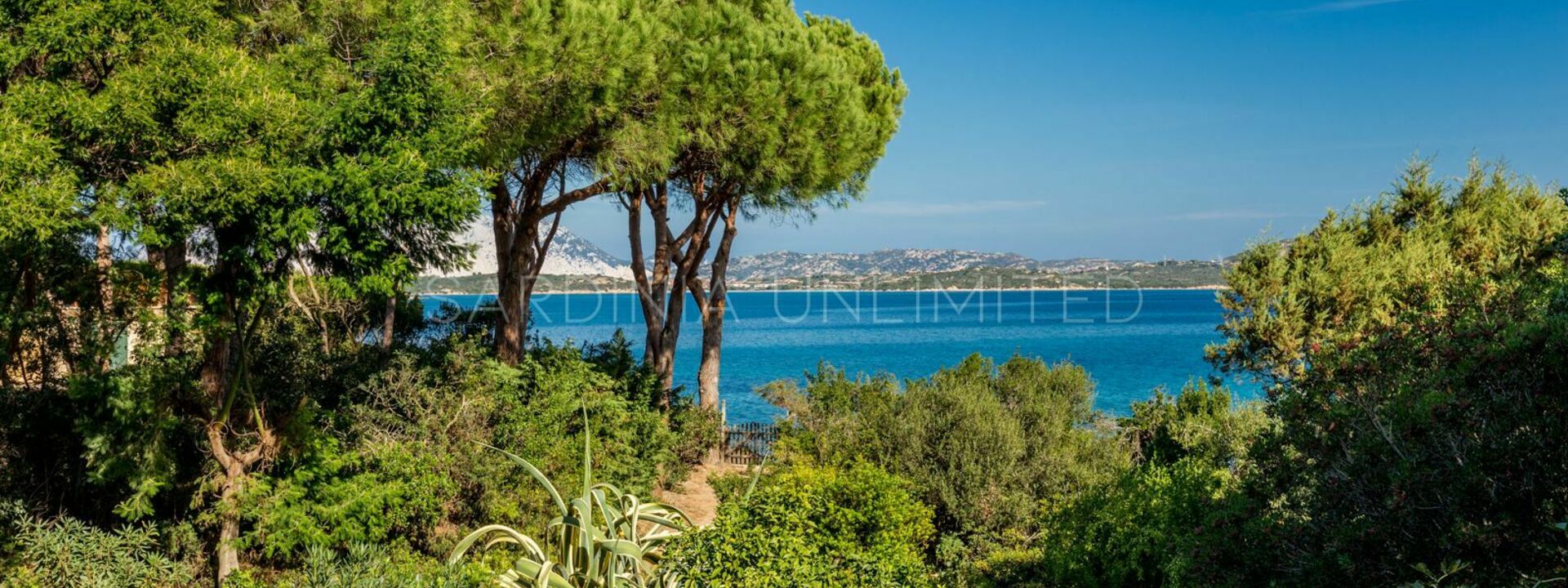 Villa Ammirando Tavolara: Extérieur, Extérieurs