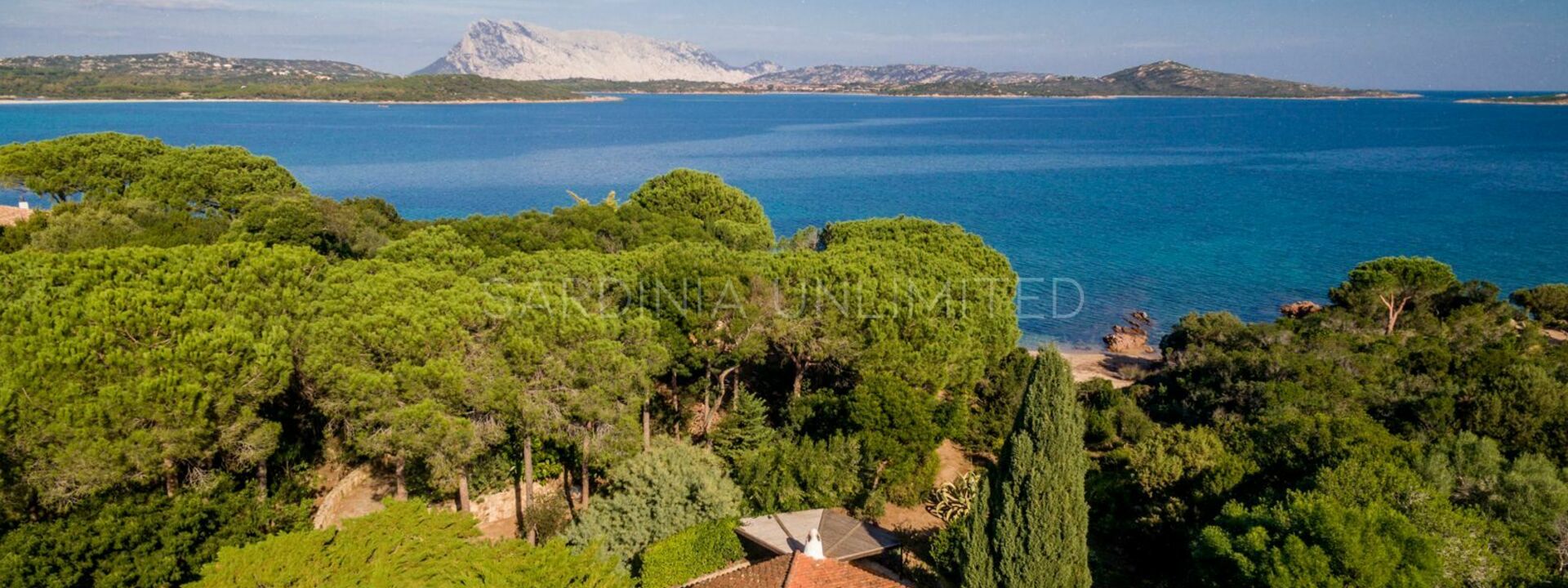 Villa Ammirando Tavolara: Activités, Automne, Été, Extérieur, Extérieurs, Printemps