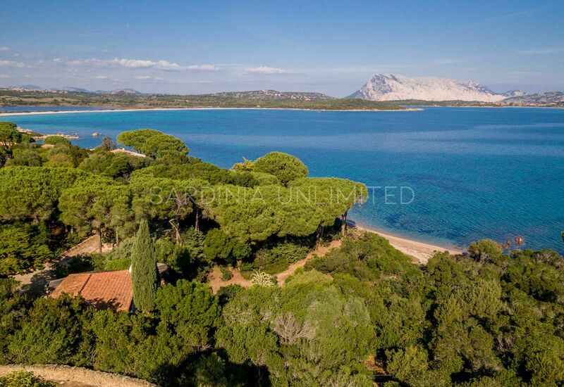 Villa Ammirando Tavolara: Activities, Autumn, Building Exterior, Outdoor, Spring, Summer