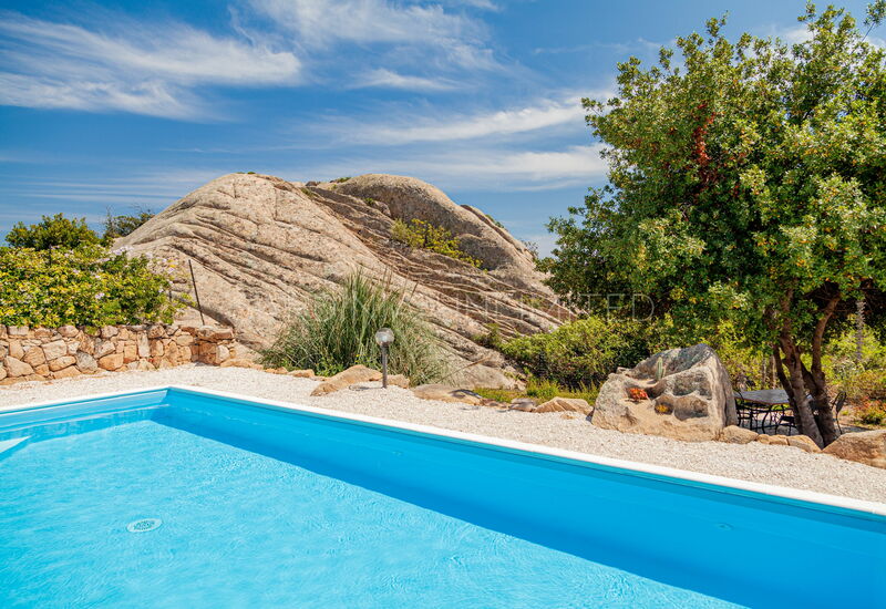 Villa Punta Molara: Automne, bassin, Été, Printemps