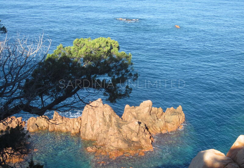 Villetta Nuvola Bianca: Activities, Outdoor